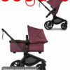 Bugaboo Fox 5 renew 2 в 1 Black Dark Cherry Dark Cherry