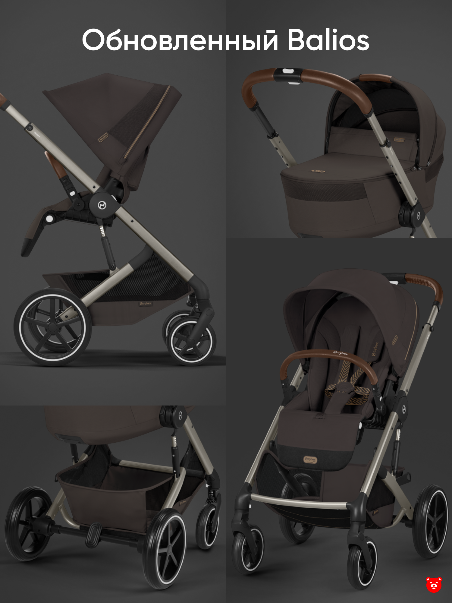 balios 2026 chocolate brown 2 photo